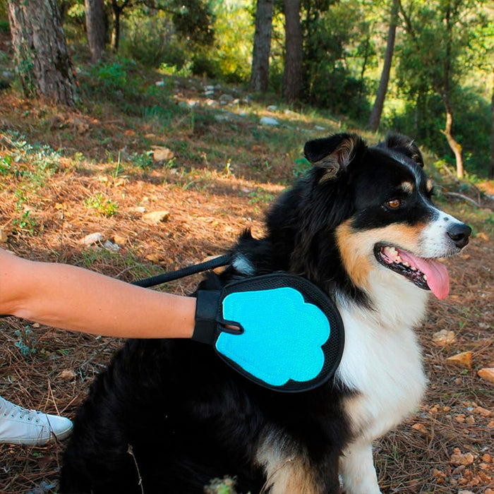 Guante de doble cara para el cuidado del pelaje de las mascotas - 1 unidad | BronPets©,cepillos para mascotas, cepillo para perro, furminator perro, cepillo para perro pelo corto, cepillo perro pelo corto, cepillo cardina automatico, cepillo para quitar pelo muerto perro, cepillo quita pelos, cepillo deslanador para perros, cepillo para perros de pelo corto,