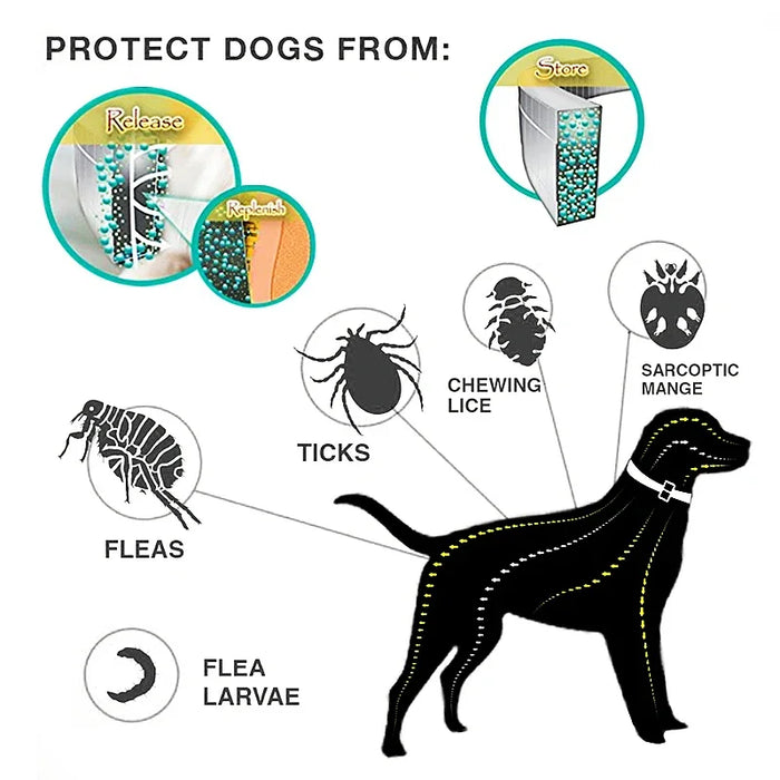 Floh- und Zeckenhalsband für Haustiere – 8 Monate Schutz